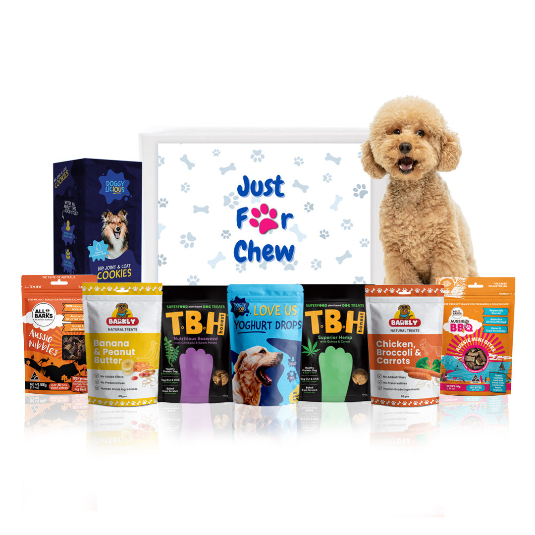 Gourmet Dog Treat Gift Hamper