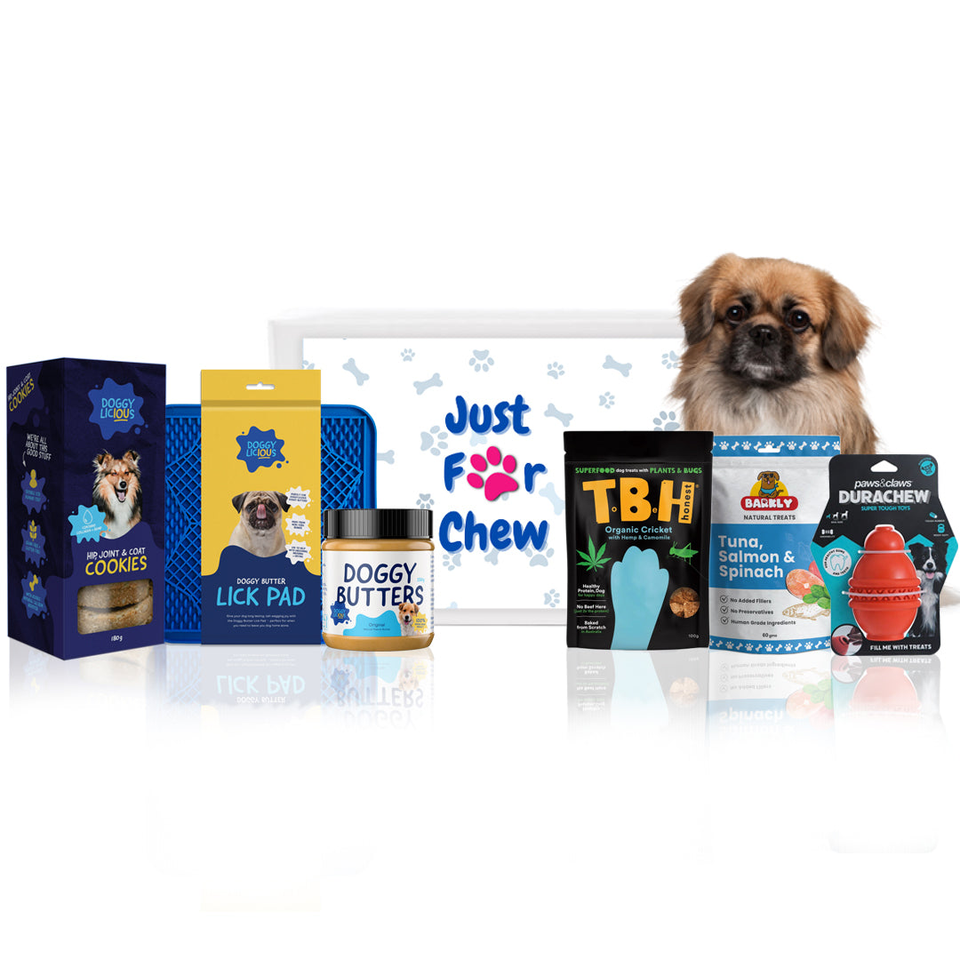 Treats & Toys Dog Hamper